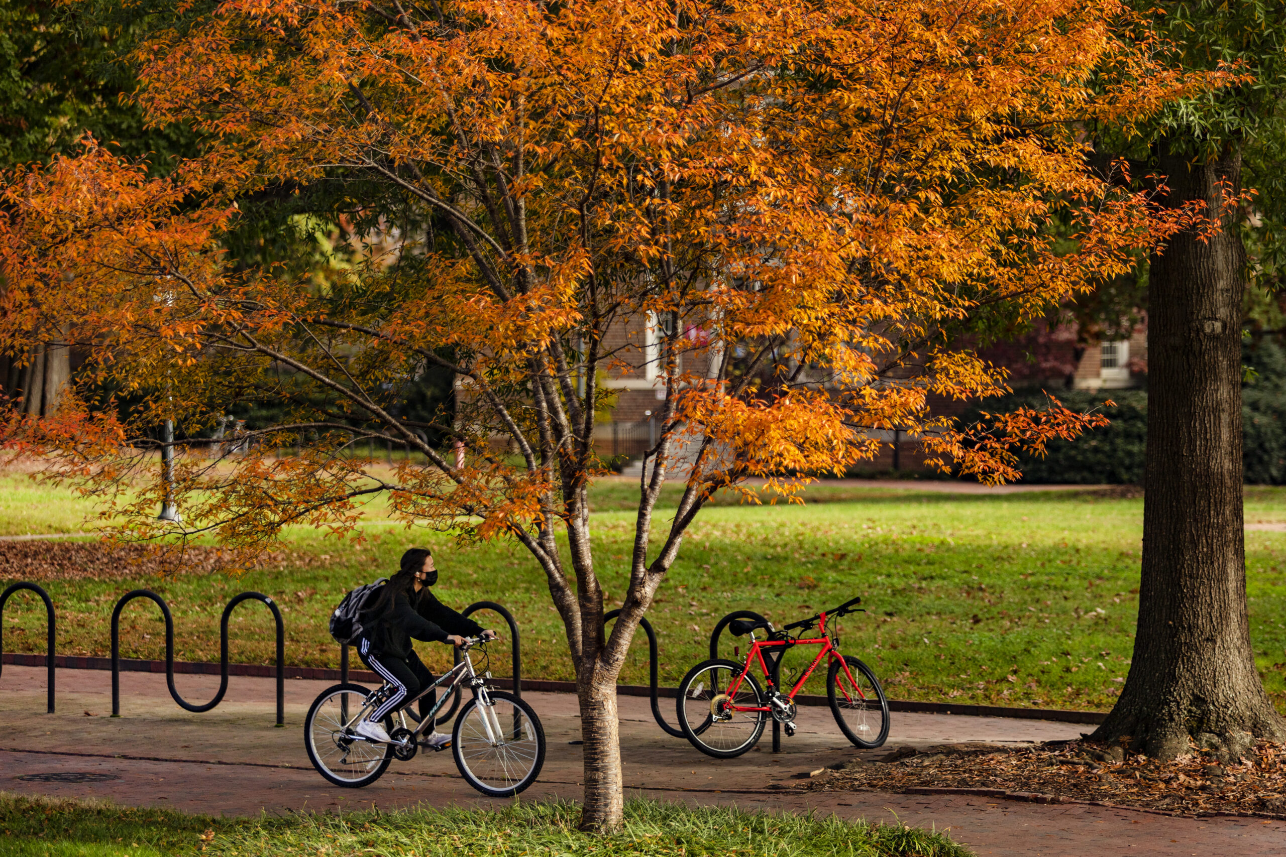 Autumn campus scene